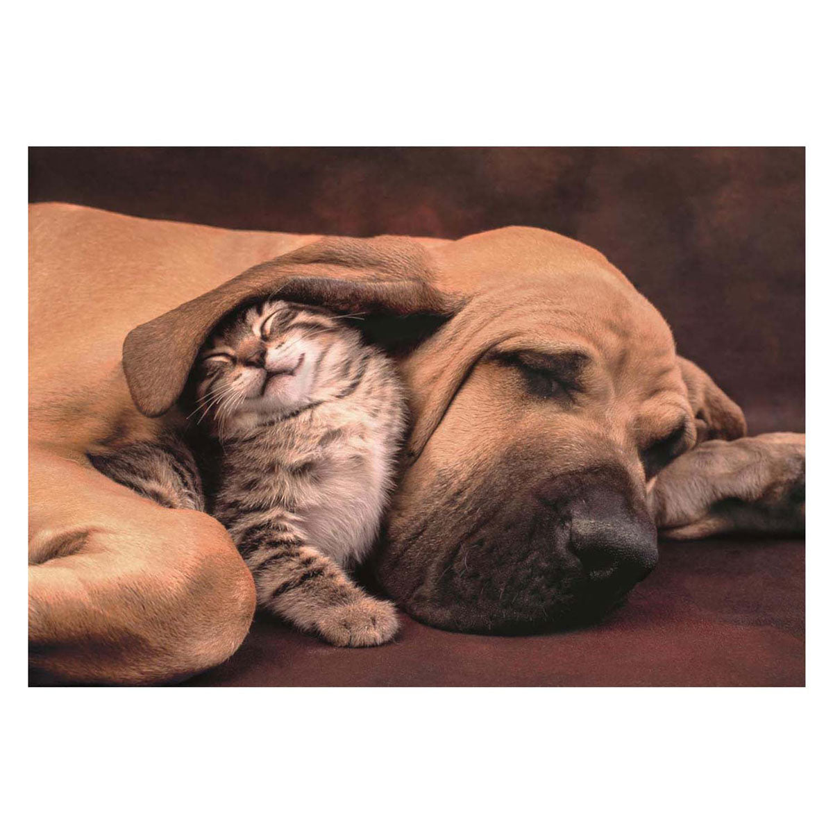 Clementoni - puzzel - 500 stukjes - cuddles compact box - high quality collection