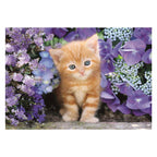 Clementoni clemetoni legpuzzel ginger cat, 500st.