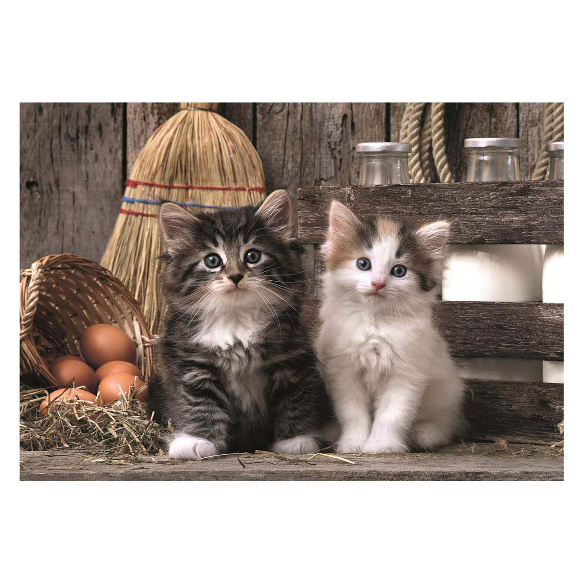 Clementoni - puzzel - 1000 stukjes - schattige kittens - high quality collection