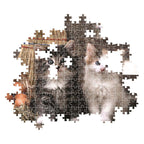 Clementoni - puzzel - 1000 stukjes - schattige kittens - high quality collection