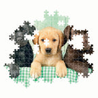 Clementoni puzzel 1000pcs labradors
