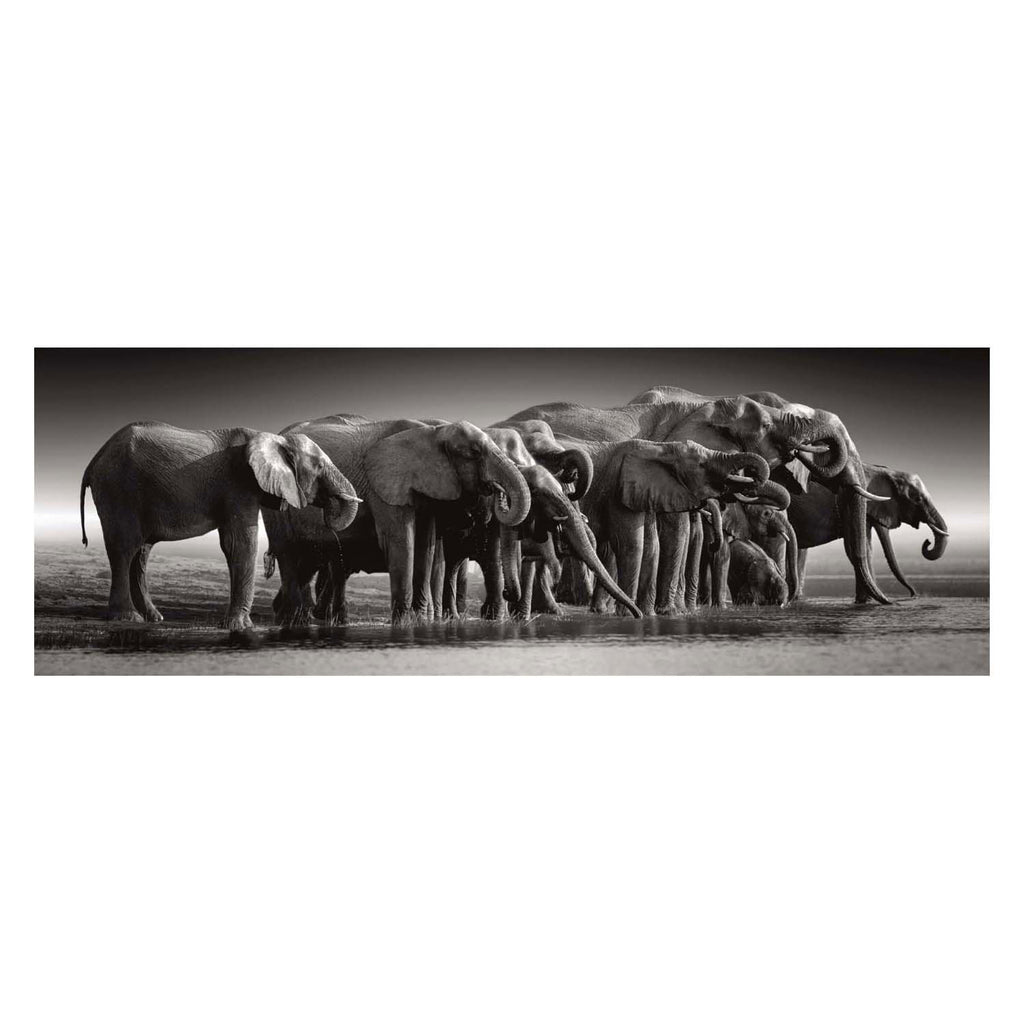 Clementoni legpuzzel herd of giants, 1000st.