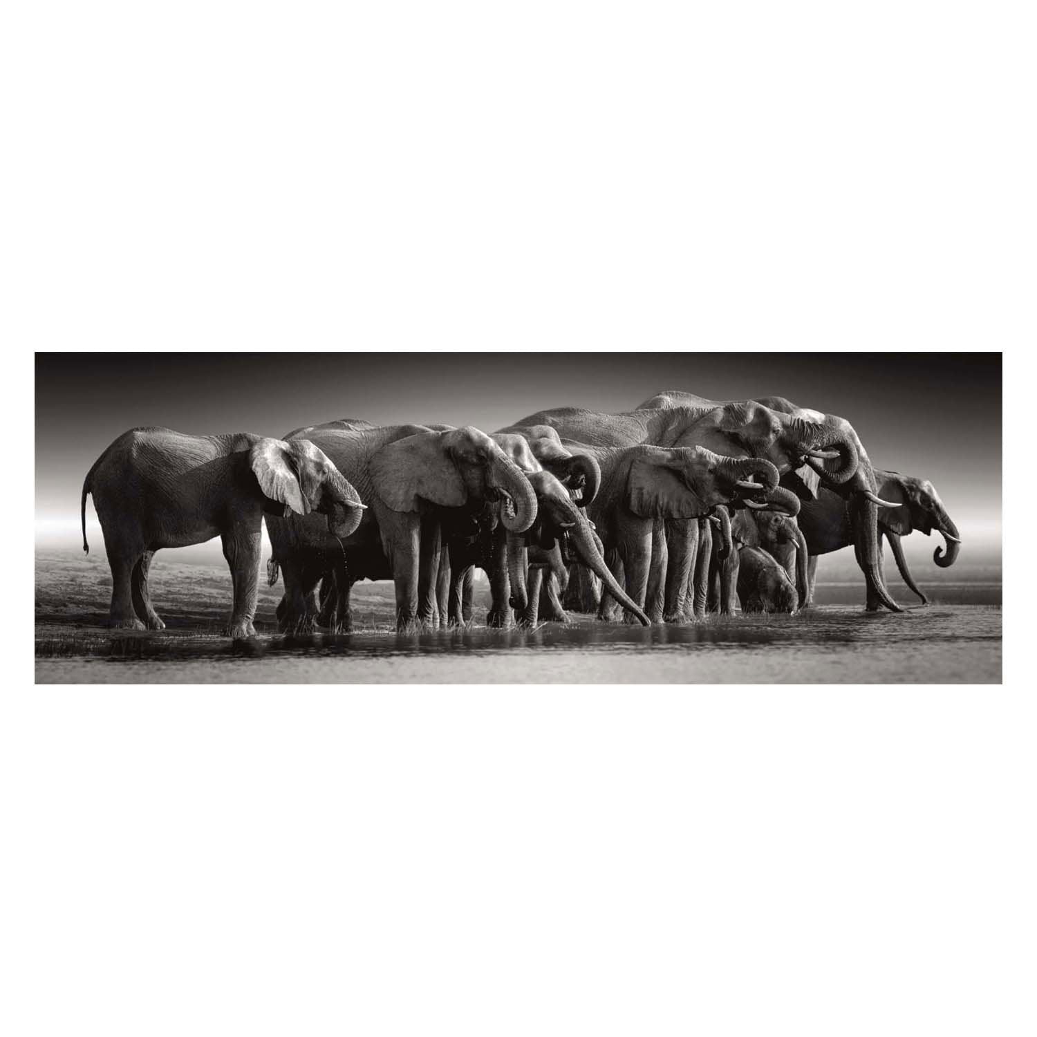 Clementoni - legpuzzel herd of giants 1000st.