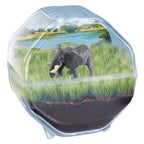 Clementoni wetenschap spel my wild terrarium - olifant