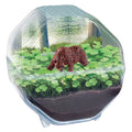 Clementoni - wetenschap & spel my wild terrarium - beer