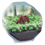 Clementoni - wetenschap & spel my wild terrarium - beer