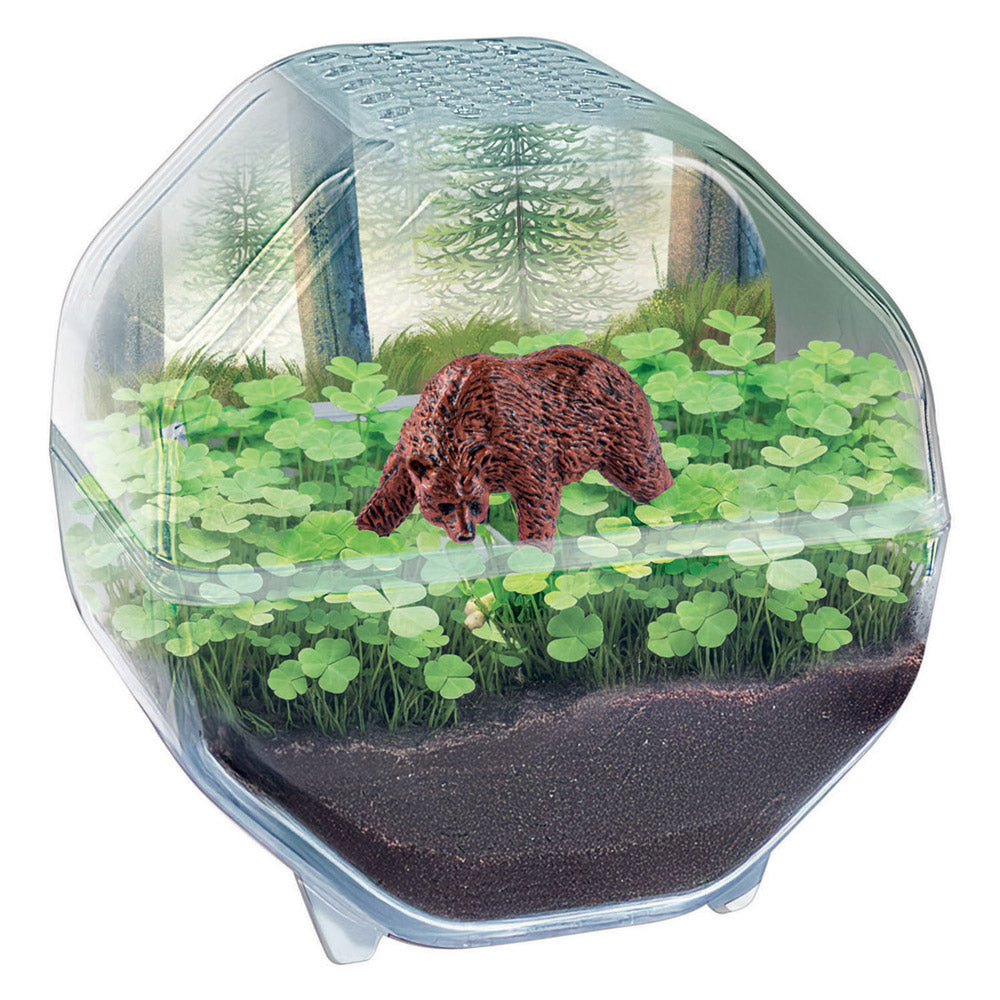 Clementoni - wetenschap & spel my wild terrarium - beer