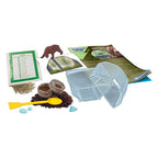 Clementoni - wetenschap & spel my wild terrarium - beer
