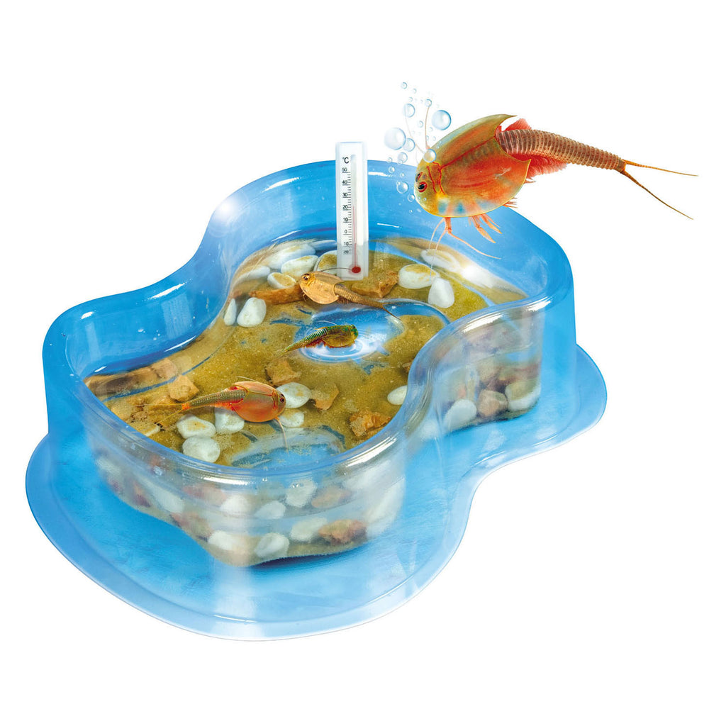 Clementoni triops acquarium (f)