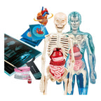 Clementoni - wetenschap en spel - super anatomie