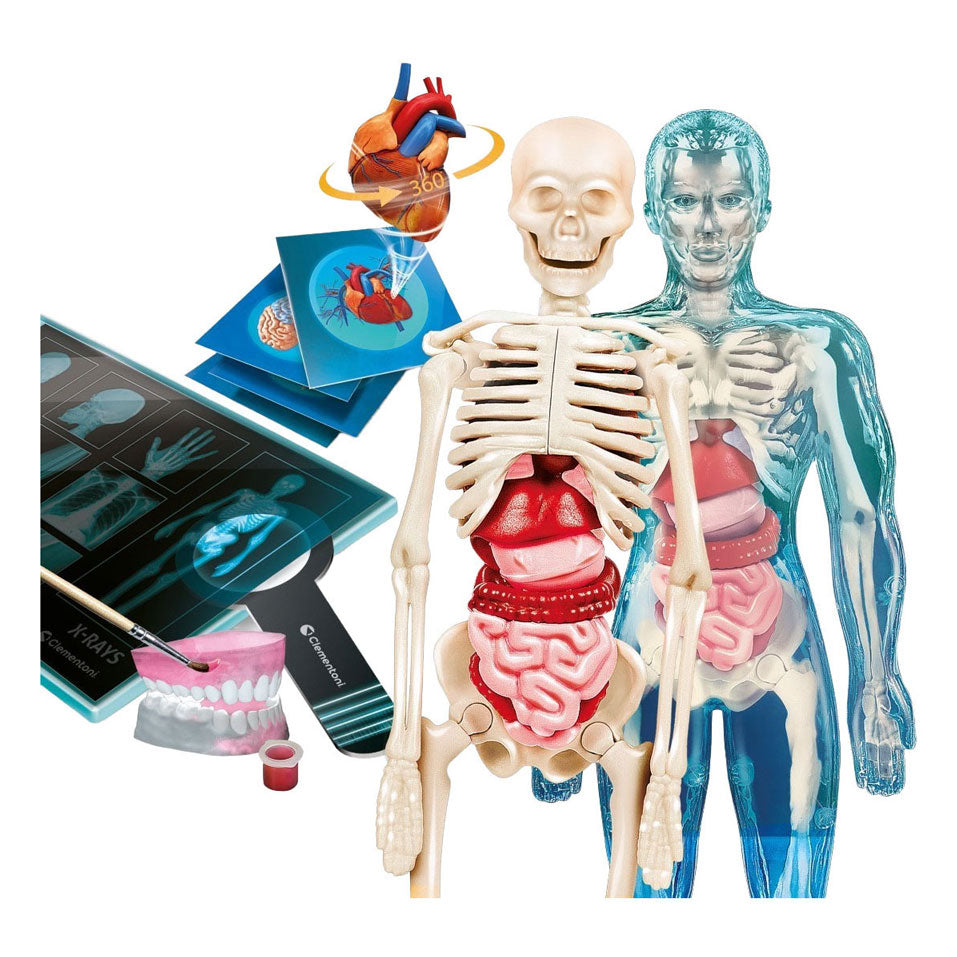 Clementoni wetenschap en spel - super anatomie