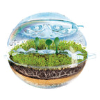 Clementoni - wetenschap & spel biosphere