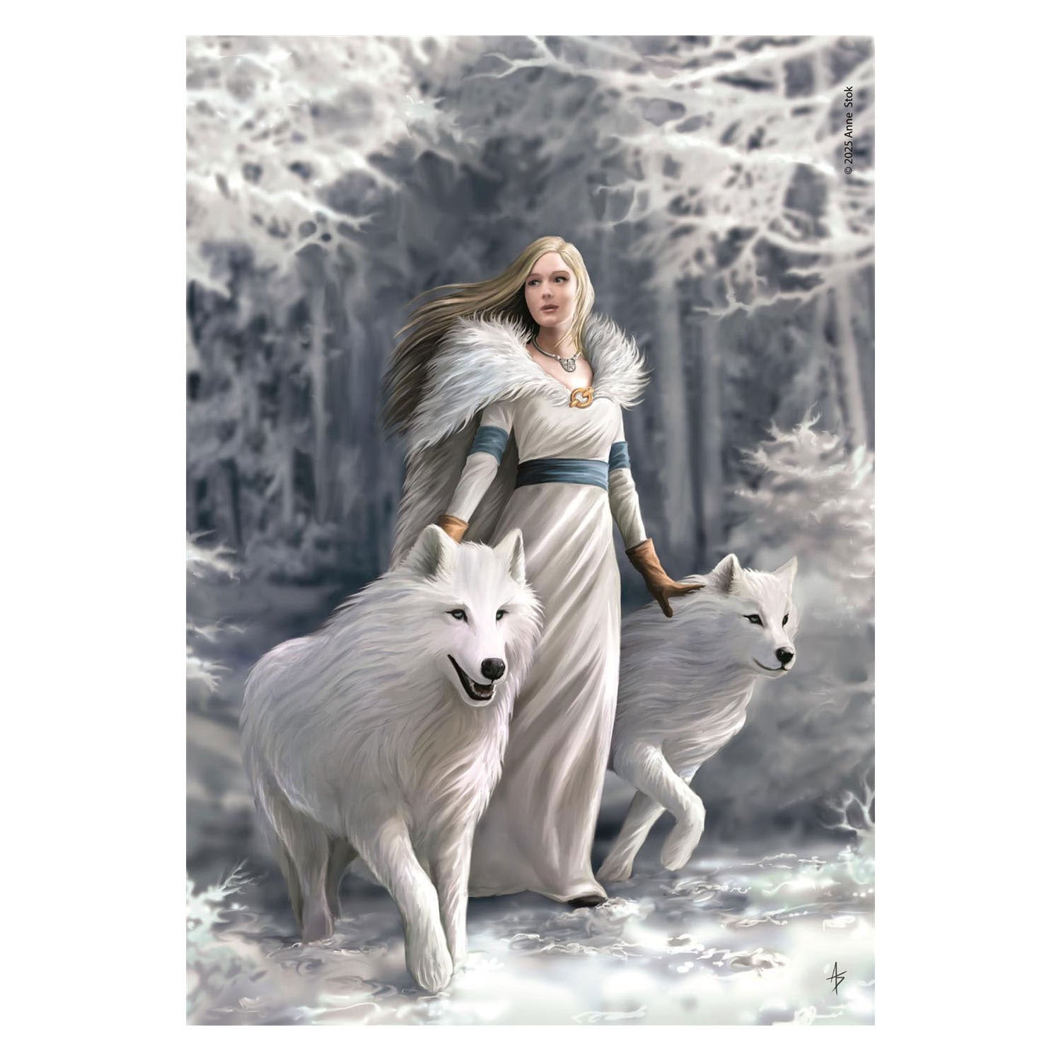 Clementoni - legpuzzel anne stokes winter guardians - 1000st.