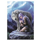 Clementoni - legpuzzel anne stokes protector - 1000st.