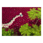 Ravensburger - – een zee van rood – legpuzzel – 500 stukjes