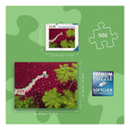 Ravensburger - – een zee van rood – legpuzzel – 500 stukjes