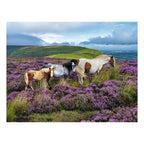 Ravensburger - legpuzzel wild horses in the heather - 2000st.