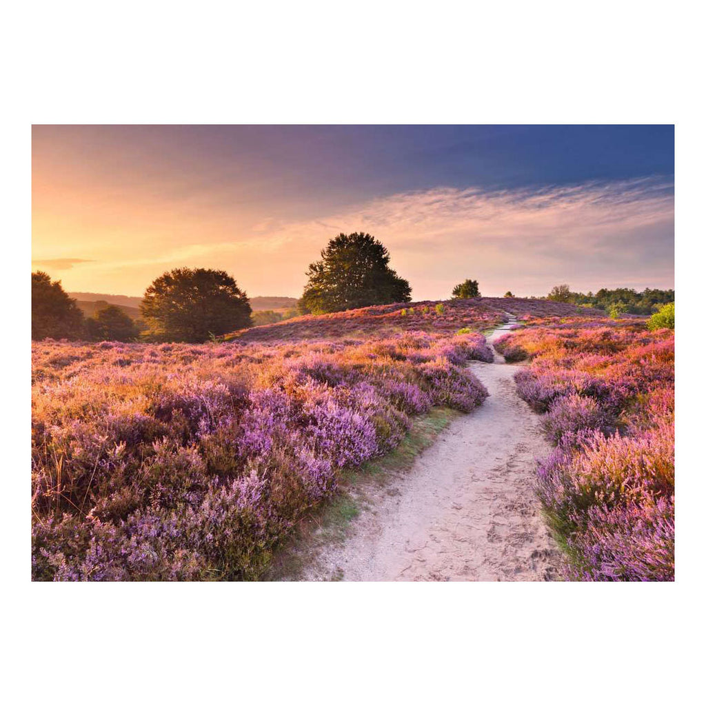 Ravensburger legpuzzel pink pathway - 1000st.