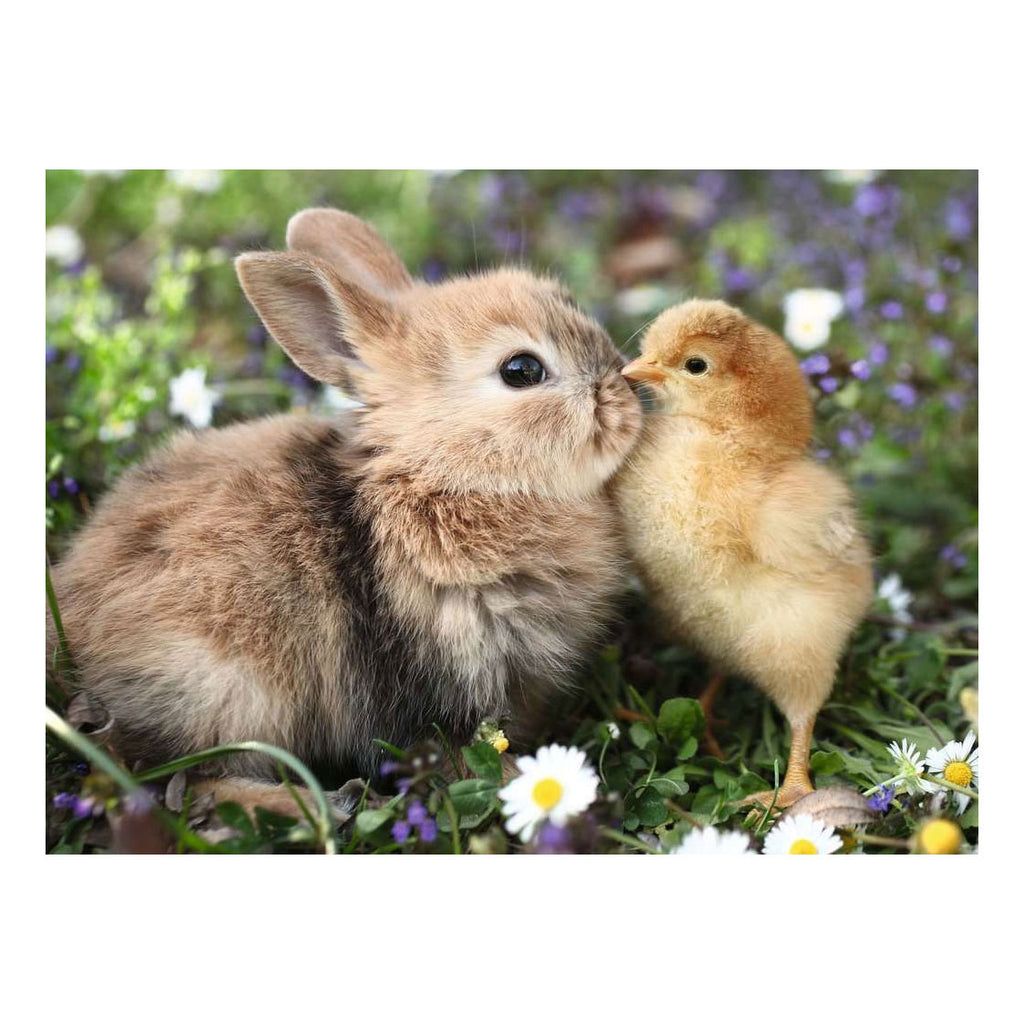 Ravensburger - – rabbit and chick – legpuzzel – 500 stukjes