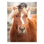 Ravensburger - – pony and cat – legpuzzel – 500 stukjes