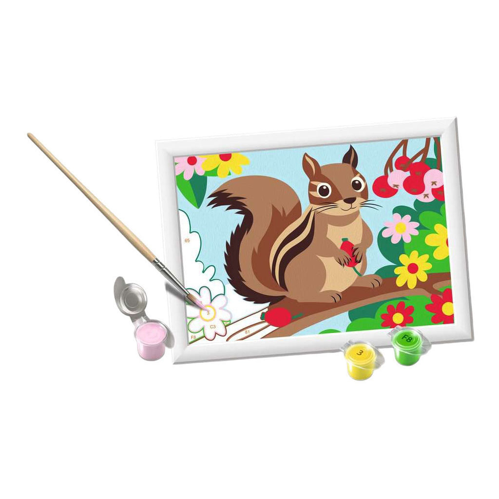 Ravensburger - – creart: chipmunk – schilderen op nummer