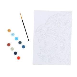 Nassau schilderen op nummer tijger | 3 stuks