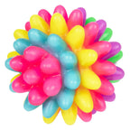 Sensorische regenboogbal spikey