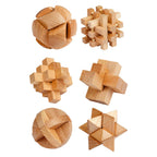 Toi-Toys - Toi-Toys Houten breinpuzzel