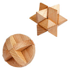 Toi-Toys - Toi-Toys Houten breinpuzzel
