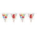 Folat- FolatVlaggenlijn confetti 6 jaar 10mtr.