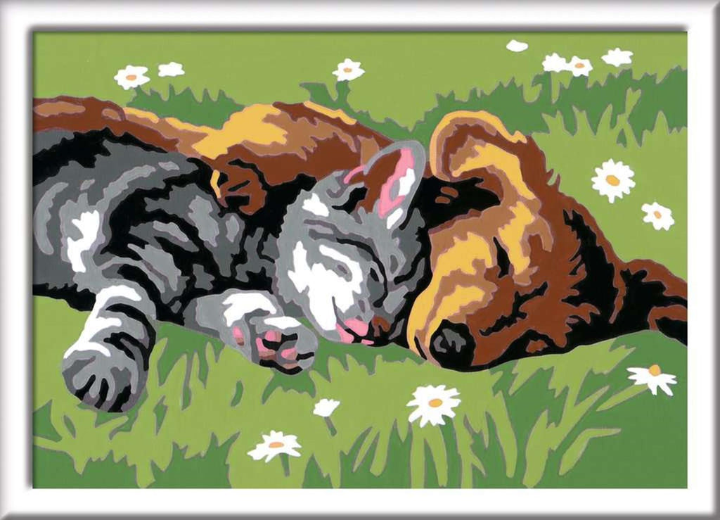 Ravensburger - creart sleeping cats and dogs - schilderen op nummer voor kinderen