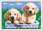 Ravensburger - creart schilderen op nummer - schattige puppies