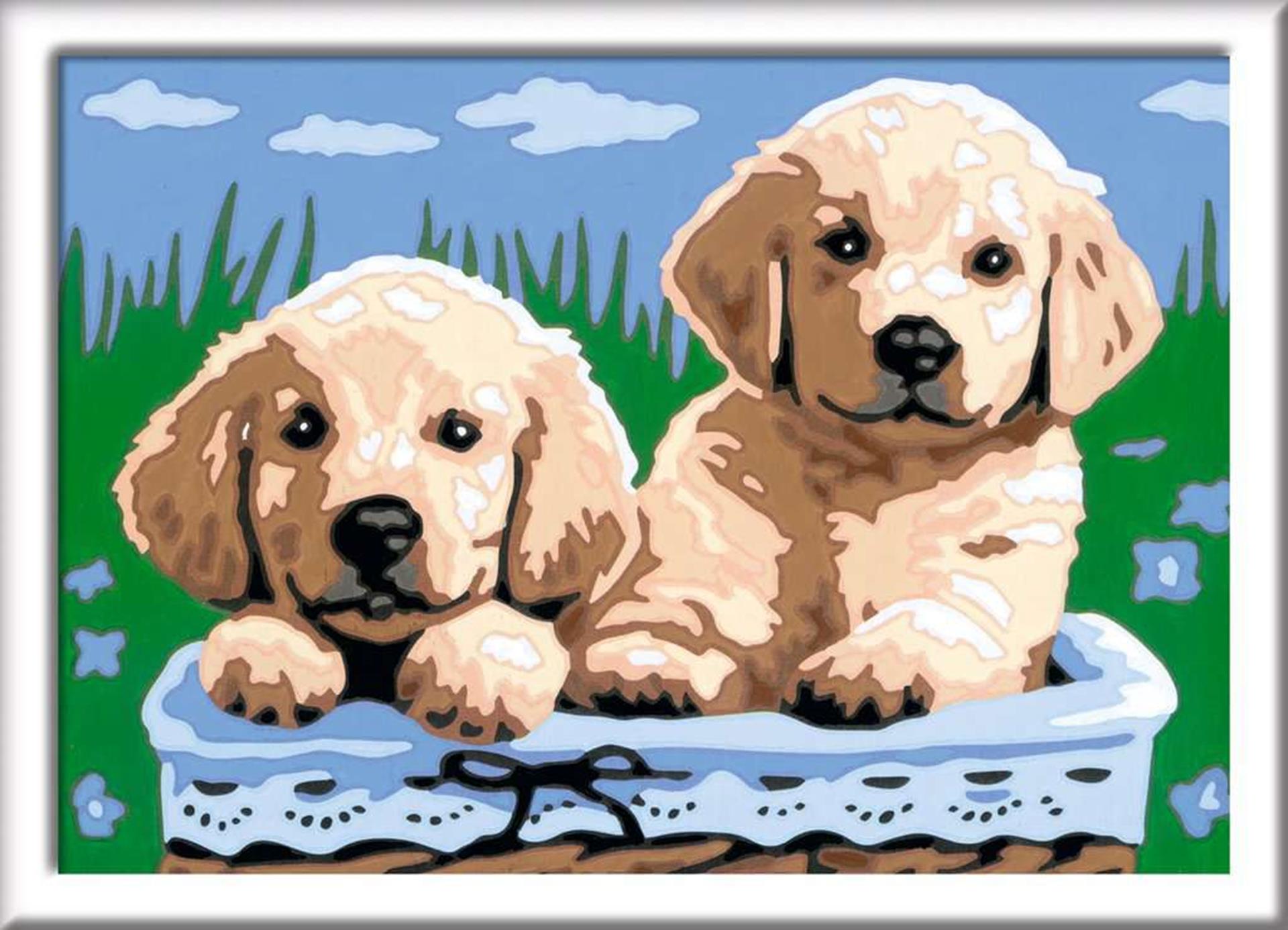 Ravensburger - creart schilderen op nummer - schattige puppies