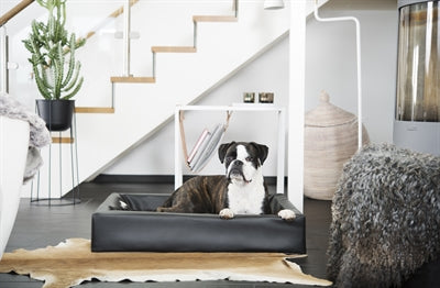 Bia - hondenmand original zwart