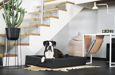 Bia - hondenmand original zwart