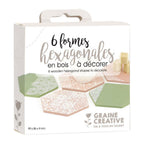 Graine creative graine houten hexagon vormen - 6st.