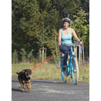 Messingschlager - Messingschlager Springer honden-fiets-beugel