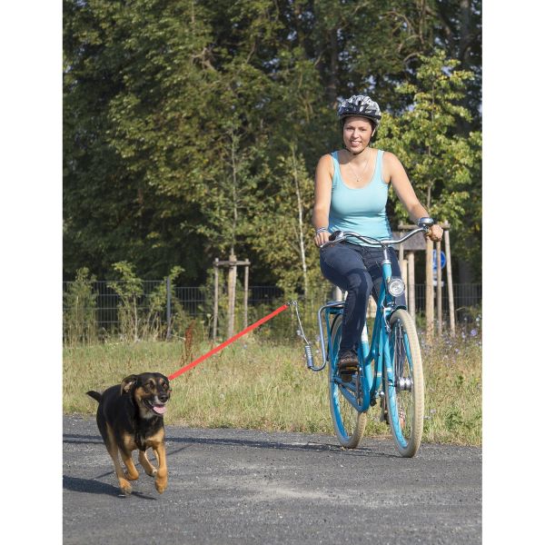 Messingschlager - Messingschlager Springer honden-fiets-beugel