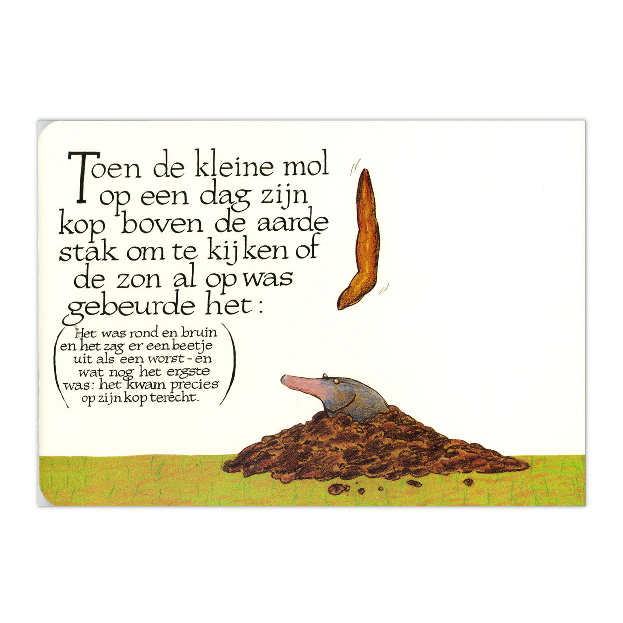 Centraal boekhuis over een kleine mol... kartonboek