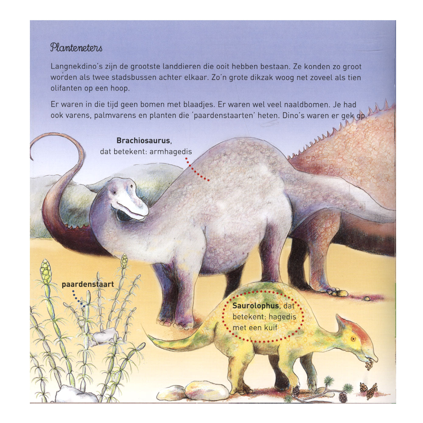Centraal Boekhuis - Centraal Boekhuis Willewete - dinosaurussen