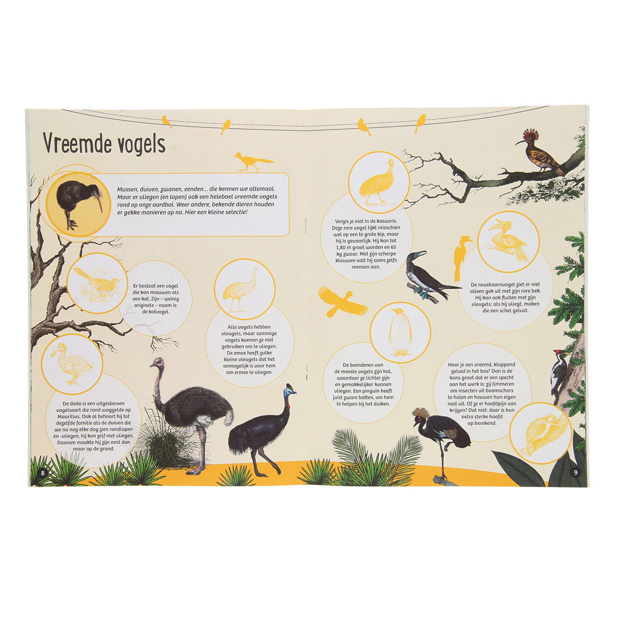Standaard Uitgeverij - Standaard Uitgeverij 50 weetjes 50 stickers - vogels