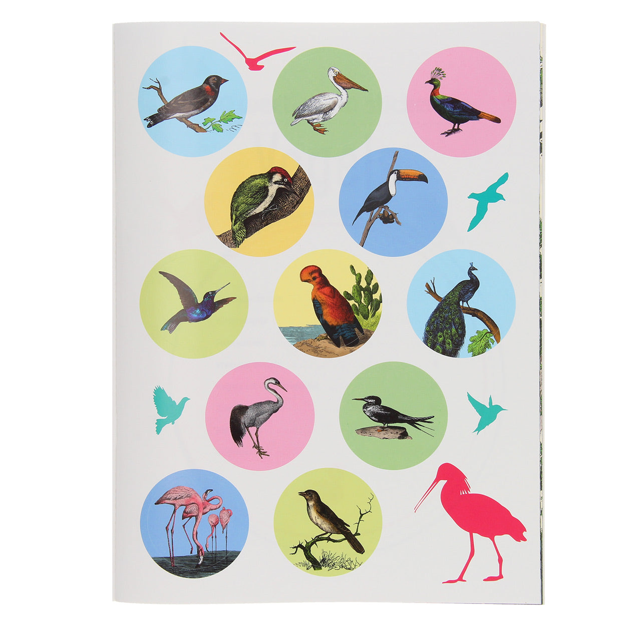 Standaard Uitgeverij - Standaard Uitgeverij 50 weetjes 50 stickers - vogels