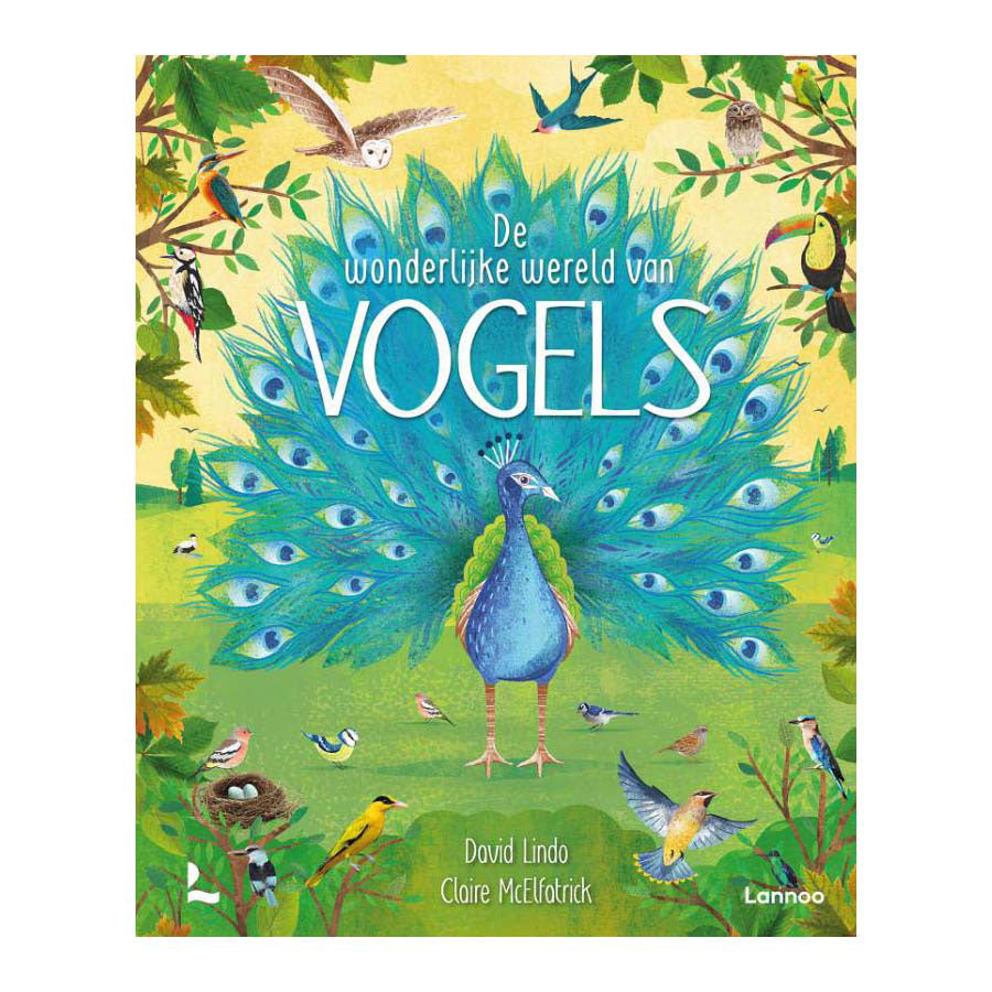 Mondikaarten - Mondikaarten De wonderlijke wereld van vogels