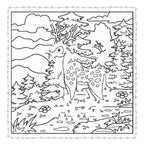 Van Punt tot Punt In het Bos