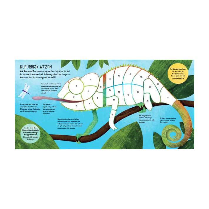 Boek stickeren op nummer jungle | 2 stuks