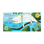 Boek stickeren op nummer jungle | 2 stuks