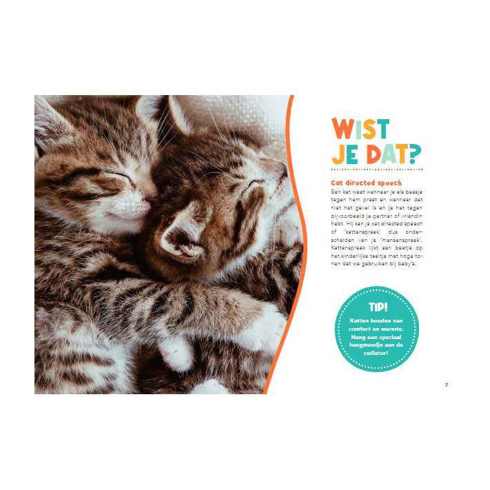 Lantaarn publishers handboek voor kattenbaasjes