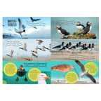 Rebo Publishers - Rebo Publishers Vogels - gids en natuurdagboek voor kinderen