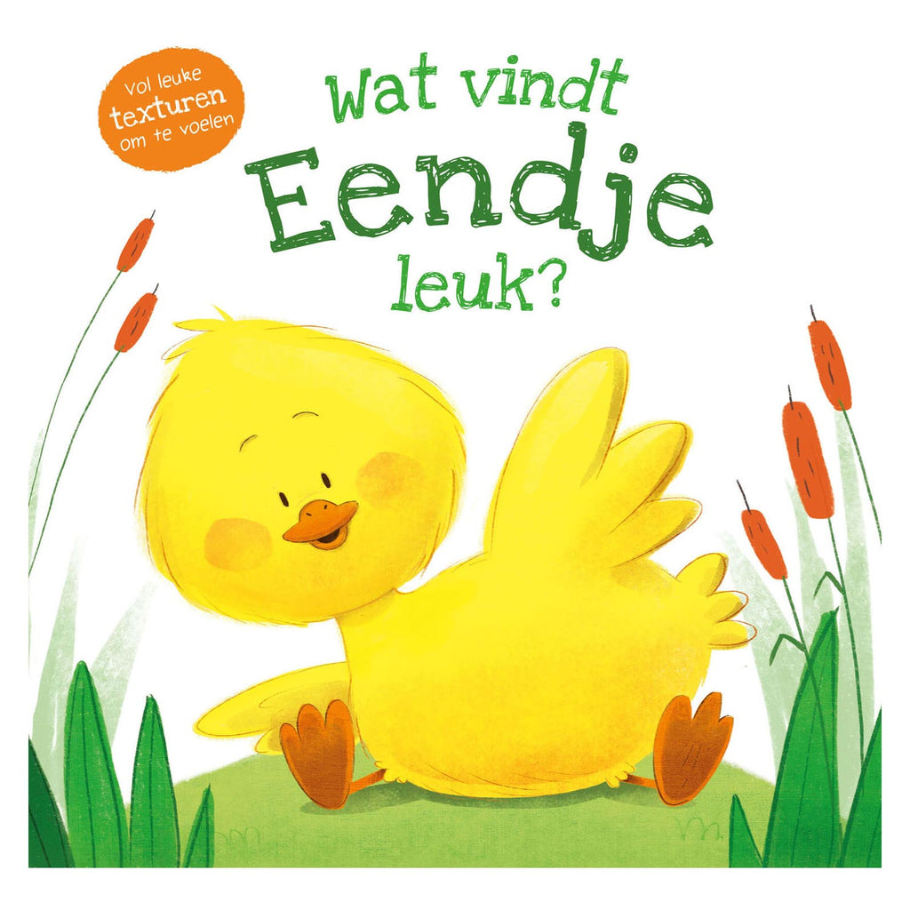 Rebo Publishers - Rebo Publishers Voelboek - wat vindt eendje leuk?