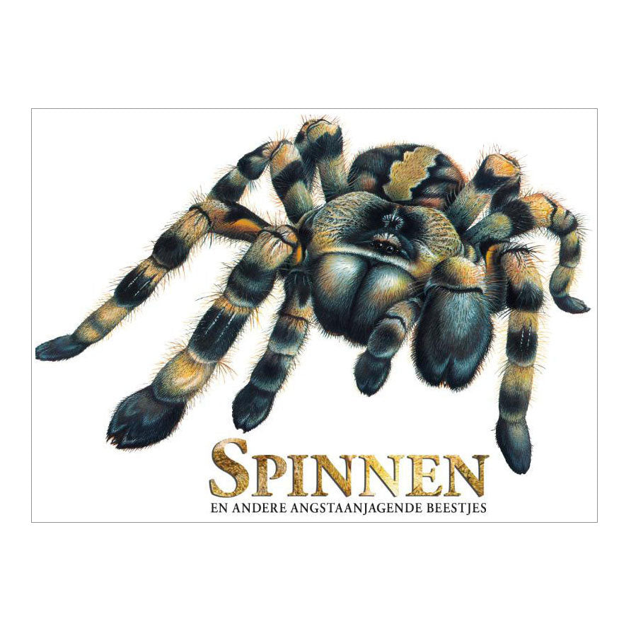 Rebo Publishers - Rebo Publishers Boek over spinnen angstaanjagende wezens